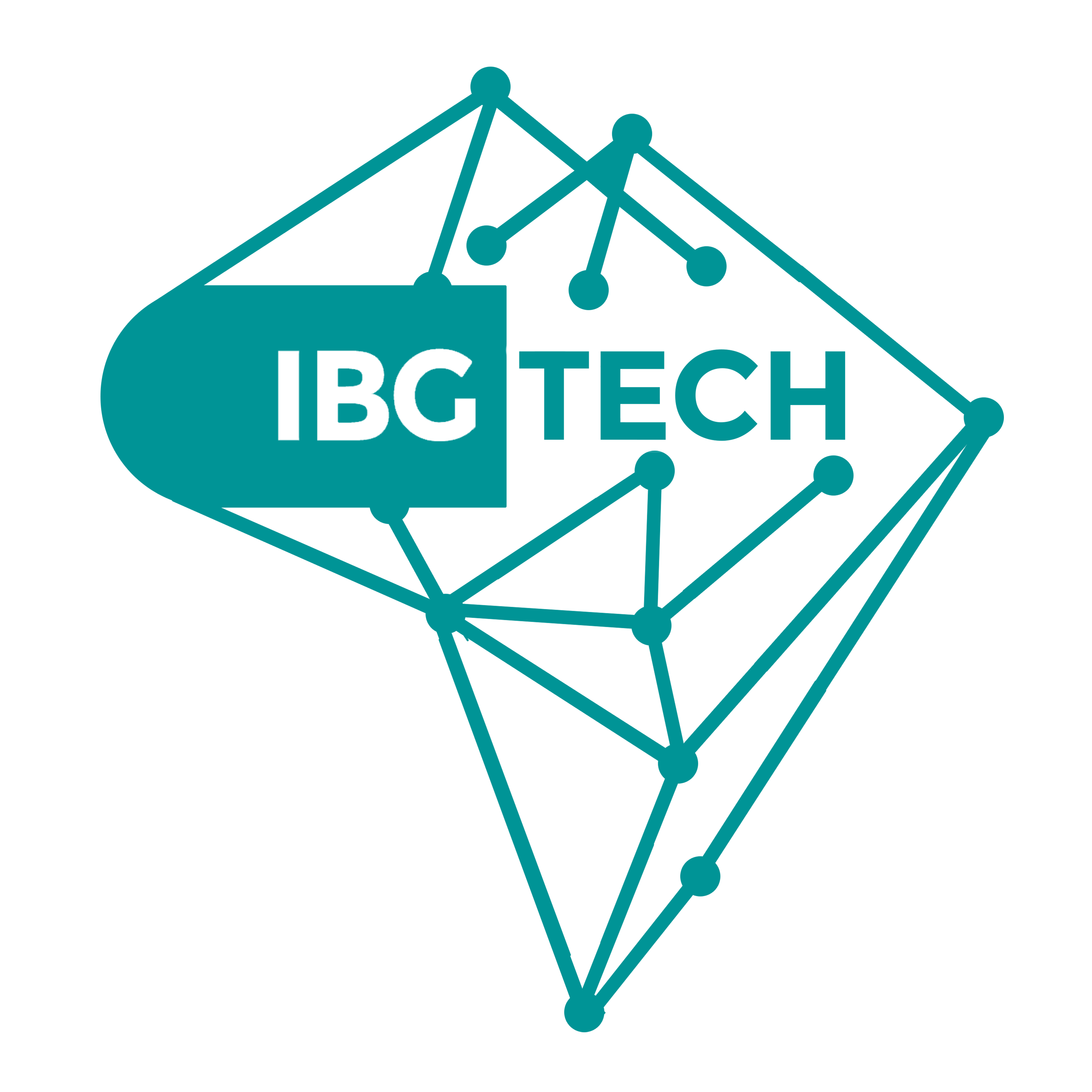 IBGTECH